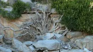 Ratelgat Farm in Namaqualand, South Africa