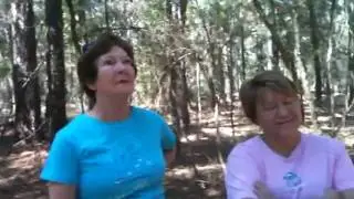 Nature trail Edisto .MOV