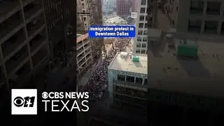 Immigration protest in Dallas