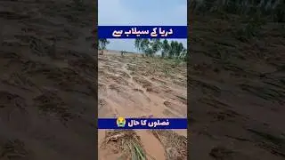 Indus River Flood #flood2025 #flood #water