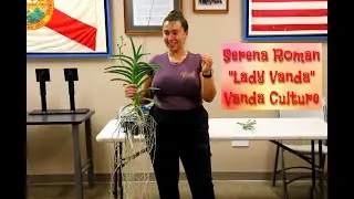Serena Roman 