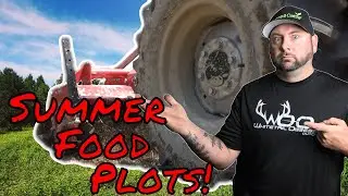 Planting Summer Food Plots For Deer! How To & What To Plant