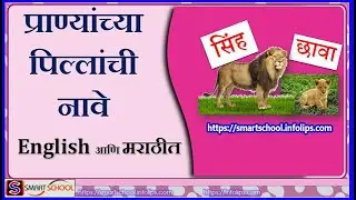 प्राण्यांच्या पिल्लांची नावे | Animals and their young ones in marathi by Smart School