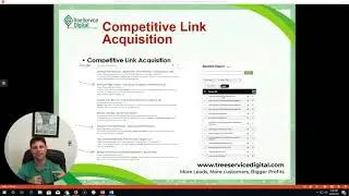 Tree Service SEO | How to do SEO for Tree Service Contractors