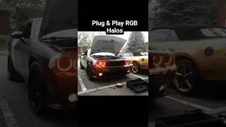 Dodge Challenger Plug & Play RGB Halos | App Controlled | No Headlight Removal