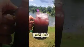 Falsay ka sharbat || Falsay ka juice recipe #khanicooksofficial #trending  #shorts #