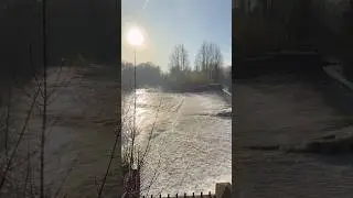 Morning Light on the River | Nature Therapy #nature #river #winter #relax #ambience