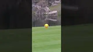 Relatable Golf Shots 🤣