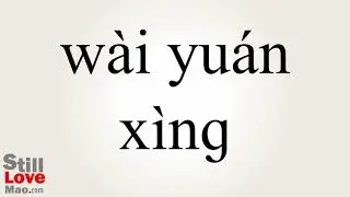 How to Say Exogenous in Chinese