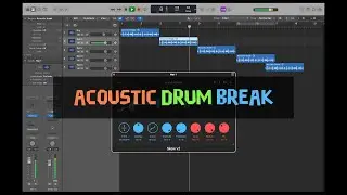 Sinevibes Skew v2 &ndash; Acoustic Break