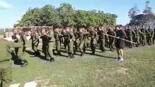 Melhor Canção de TFM mergulho em águas negras, muita vibração, PM-PA  pólo Altamira