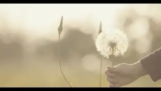 Sensommervise - duduk & guitar: Cahit Ece & Hamo Celikan / melodi: Finn Jørgensen