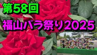 【福山バラ祭り】広島県福山市バラ祭り「金曜日の準備から土曜日」開催まで