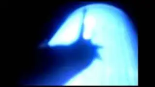 #9 - Tim Munk - Frozen/Twisted minds