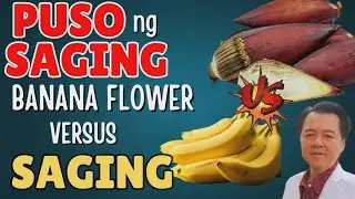 Puso ng Saging (Banana Flower) Versus Saging - By Doc Willie Ong (Internist and Cardiologist)