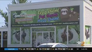 Town of Islip takes legal action against 