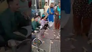 Jaijon (khakhi shaa darbar) #viralvideo #funny #shorts