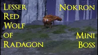 Lesser Red Wolf Of Radagon in Nokron Eternal City