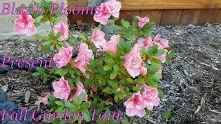 2021 Fall Garden Tour North Texas Zone 8A