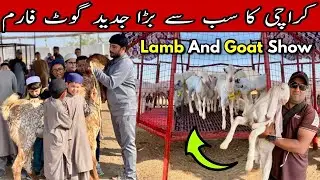Karachi Ka Biggest Modern Goat Farm 😍| Lamp & Goat Show | Abulqasim Goat Farm Qurbani 2026 Special 🔥