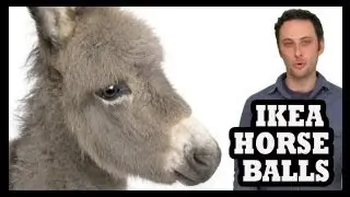 Horse Meat - Would You Eat It?