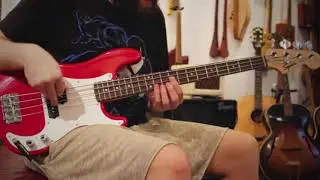 760FM-P La Bella Mini P Flat Wound Bass Strings