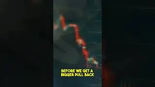 Последний этап AMPX перед атакой медведей! 🔥