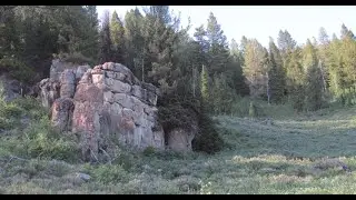 Interesting Trail Cam Capture Beaver Mt Sasquatch Project