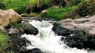 Serene Tropical Forest River to help Soothing the Soul & Yoga