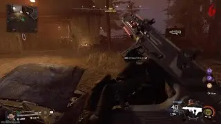 Vandorn Farm survival