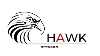 HAWK. Data Centre Analyzer. Part #1: Visualisation