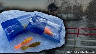De nye gummidyr fra Baitlab fisker godt 🐟🐟