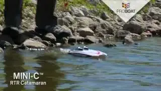 Mini-C Catamaran EP RTR by Pro Boat