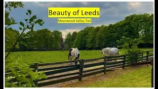 Beauty Of Leeds |  Meanwood Valley Trail. Student life In Leeds.