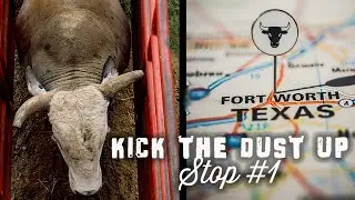 These Future PBR bulls came to BUCK! 