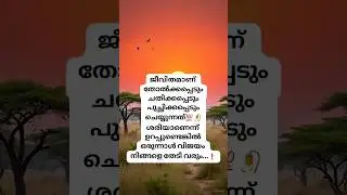 ജീവിതമാണ് തോൽക്കപ്പെടുംചതിക്കപ്പെടുംപുച്ഛിക്കപ്പെടുംചെയ്യുന്നത്💯🥀