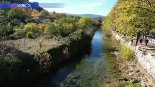 Bregava