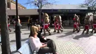 30 boxing kangaroos take over Cronulla for Nova's Hop Of Honour