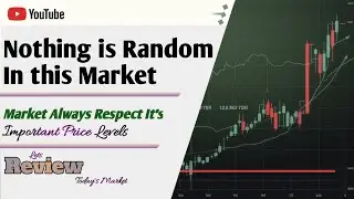 Market Always Respect It's Important Price Level | Review Today's Market