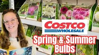🌷 Весенние луковицы и саженцы с открытой корневой системой от Costco 🌱 Лучшее качество по лучшей ...