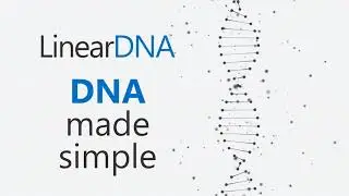 DNA Made Simple