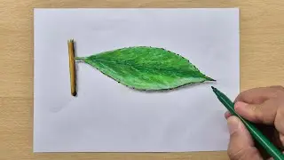3d drawing leaf  on paper