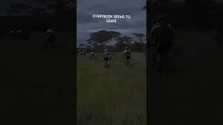 Riding with Giraffes 🦒