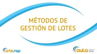 M&eacute;todo de gesti&oacute;n de lotes en SAP Business One