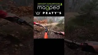 MTB💥Steps on a #mtb #trail #mtbbike #mtblove #mtblife #rogate #bikepark #downhill #bike #biker