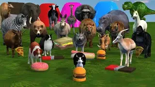 Long Slide Game with Cow Elephant Gorilla Hippopotamus Tiger 3d Animal Game Funny 3d Animals