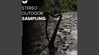 Raw Outdoor Stereo