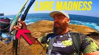SYDNEY ROCK FISHING on LURES | Catch & Cook