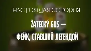 Скандалы, суды и мем: настоящая история &laquo;Žateck&yacute; Gus&raquo;