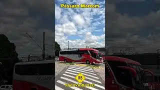 Via&ccedil;&atilde;o P&aacute;ssaro Marrom em Atibaia SP #short #rodoviabrasil #onibus #bus #viagem #atibaia #sp
